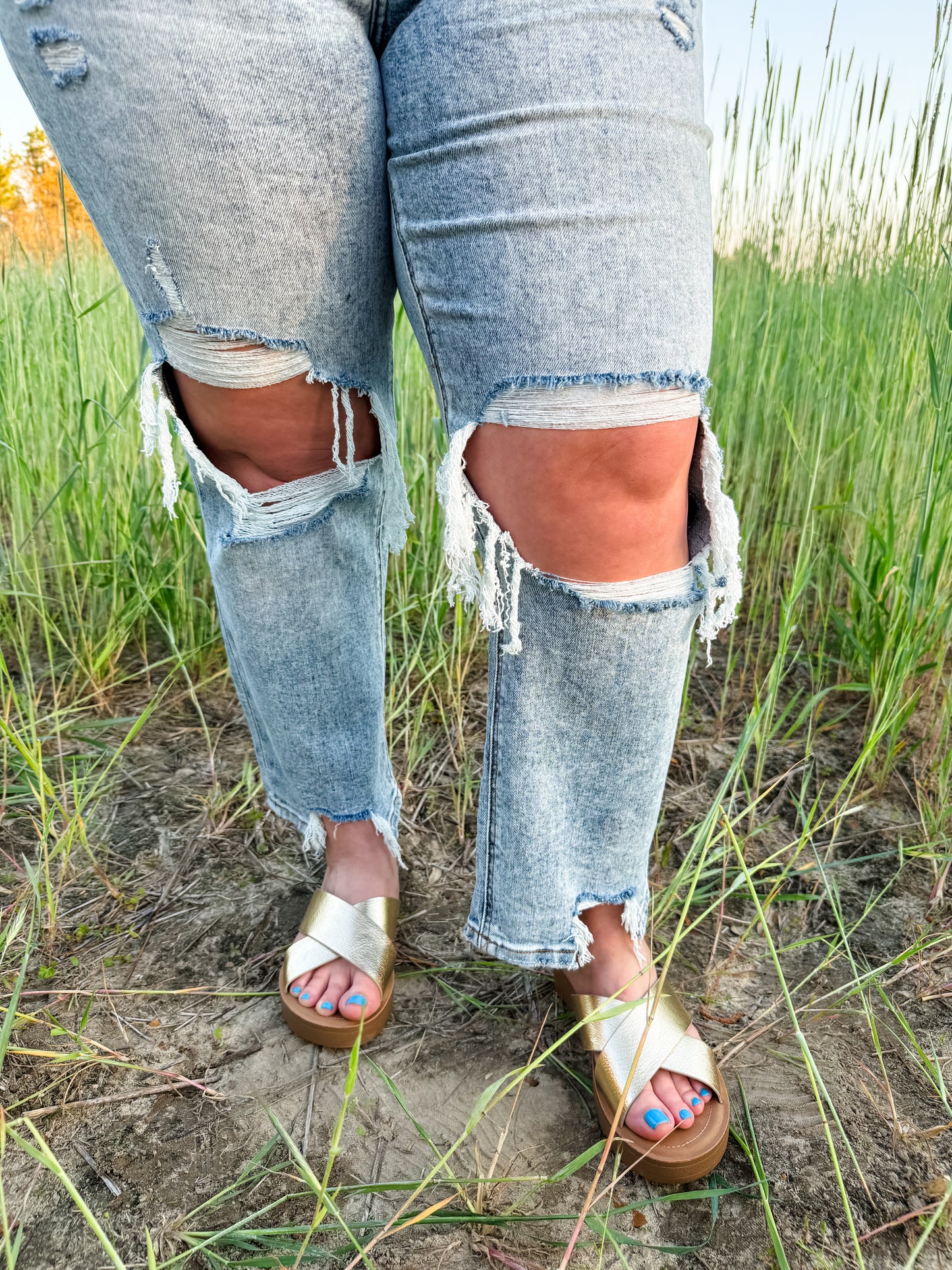 Curvy Lovervet Distressed Jeans