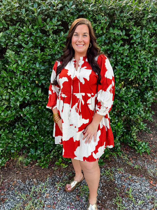 Curvy Spice Girl Dress