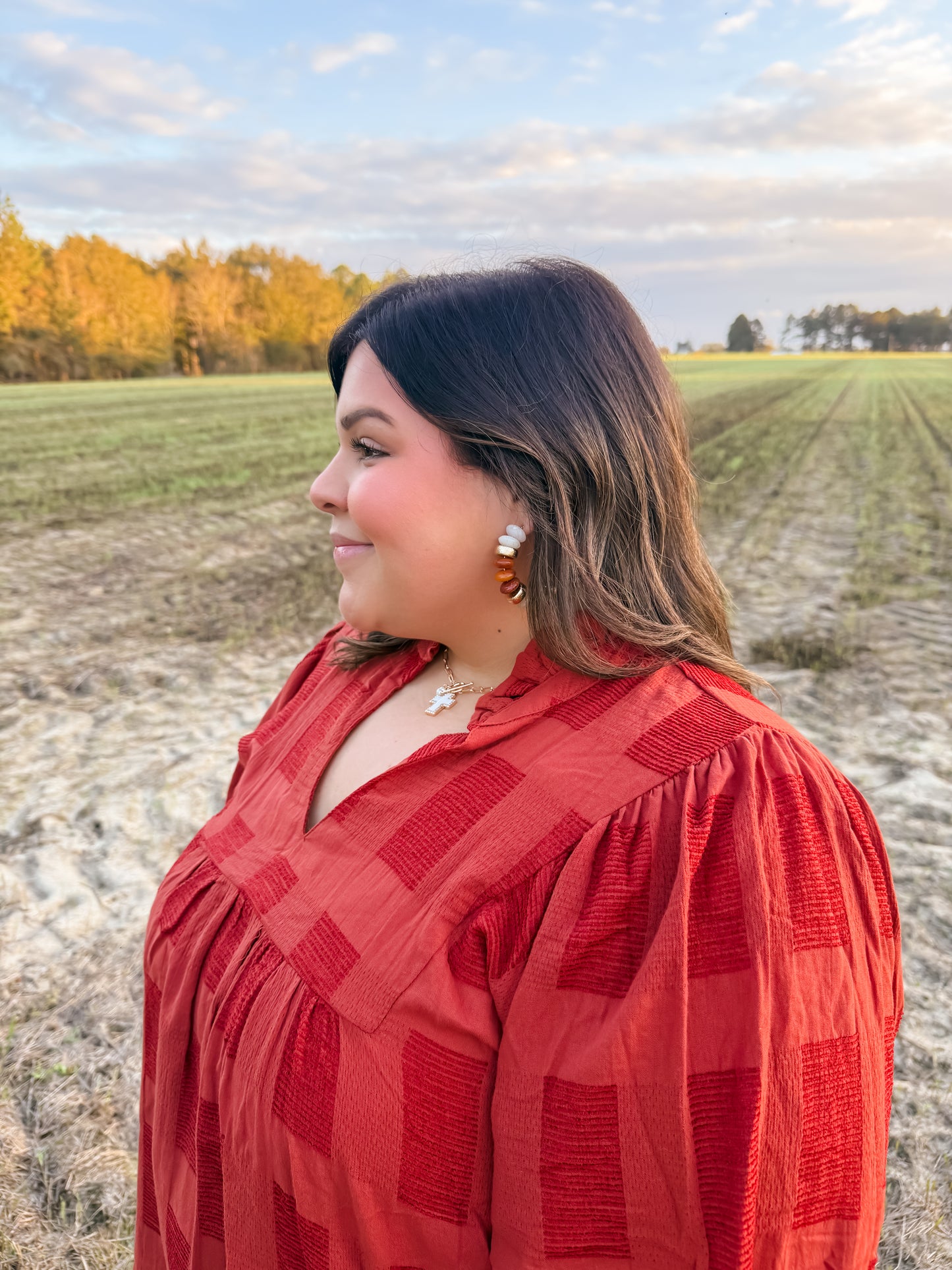 Curvy Terracotta Dreams Top