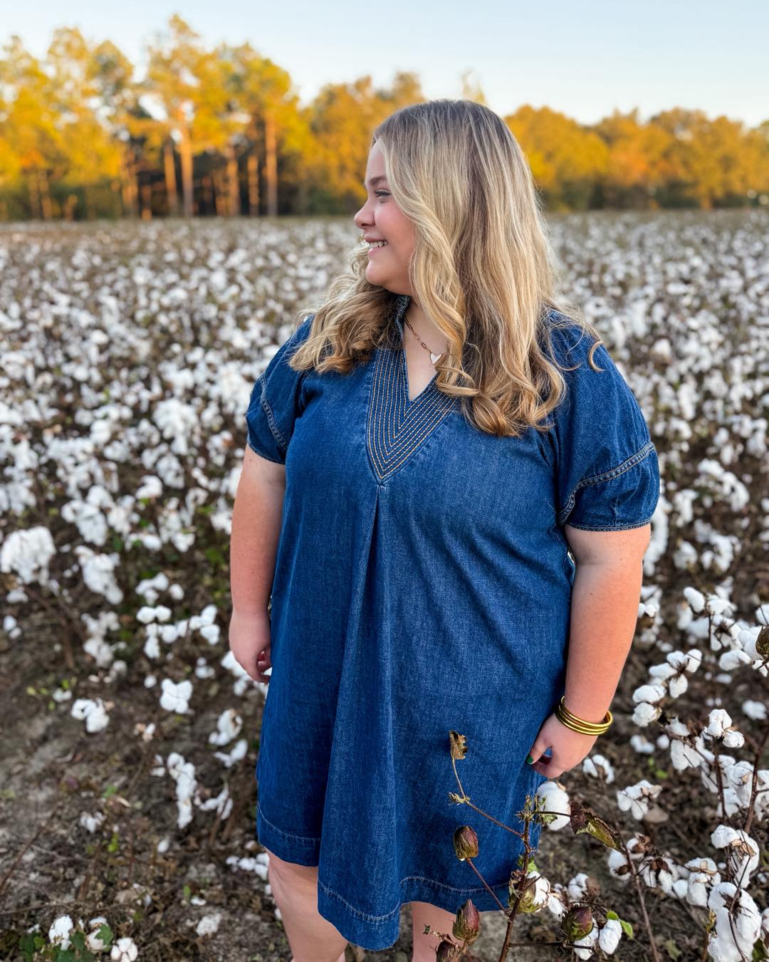 Southern Charm Denim Dress
