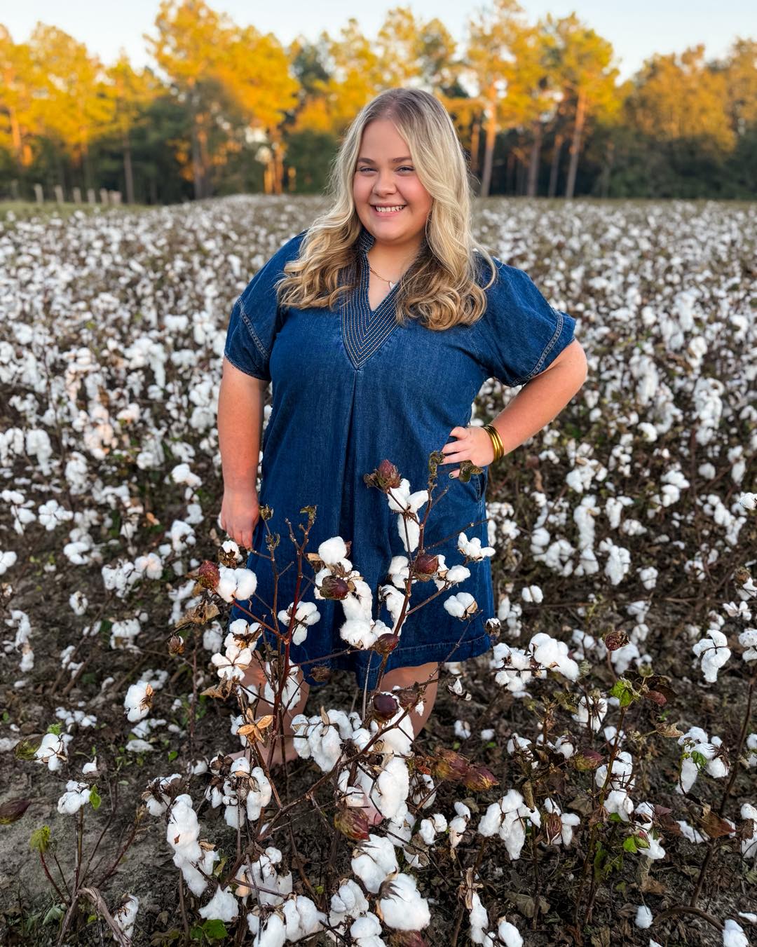 Southern Charm Denim Dress
